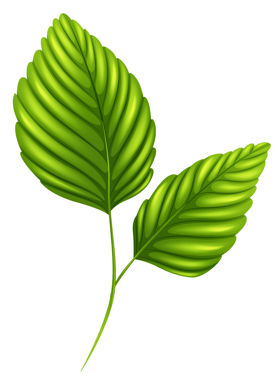 Leaf pin page clipart vector 2