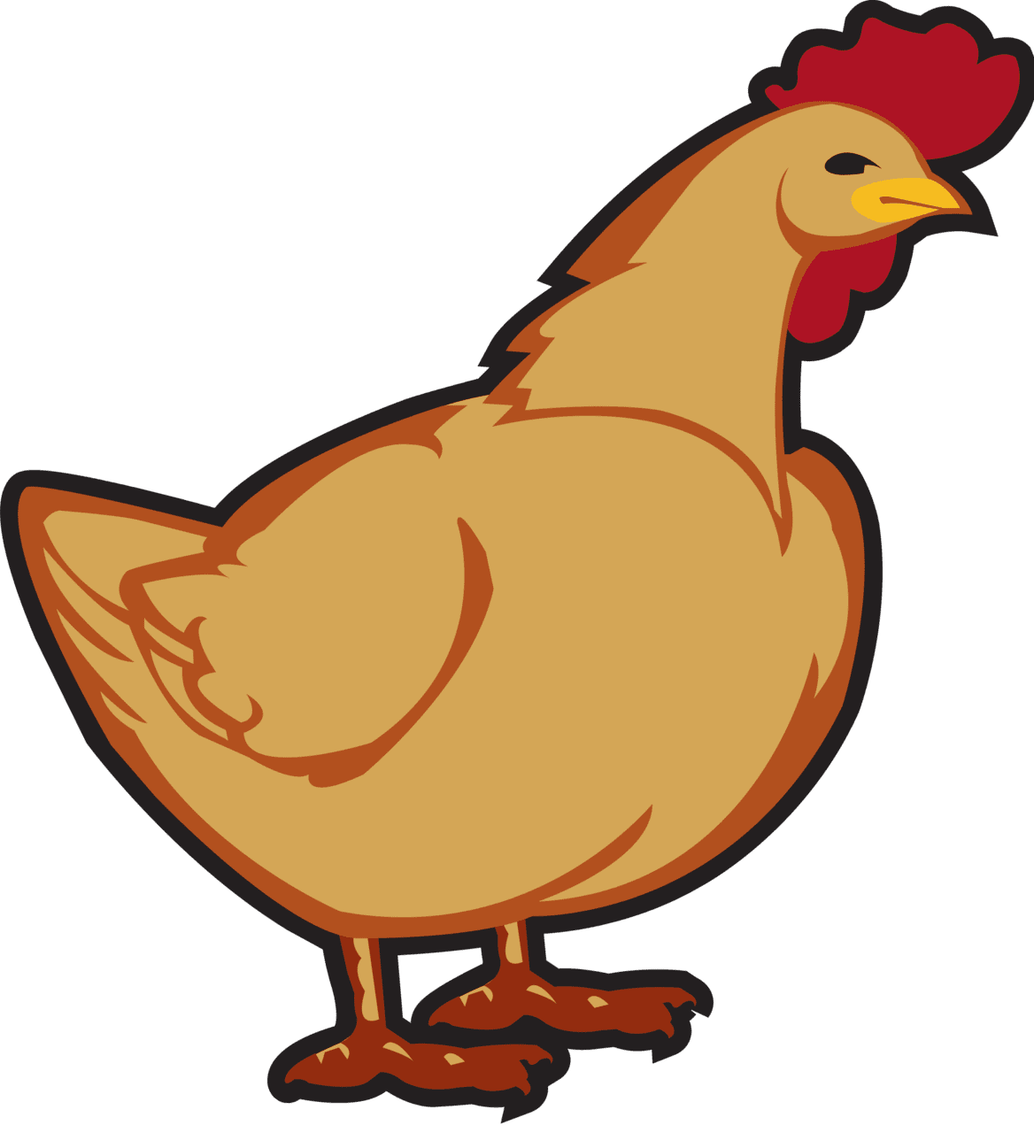 Chicken clipart pictures images