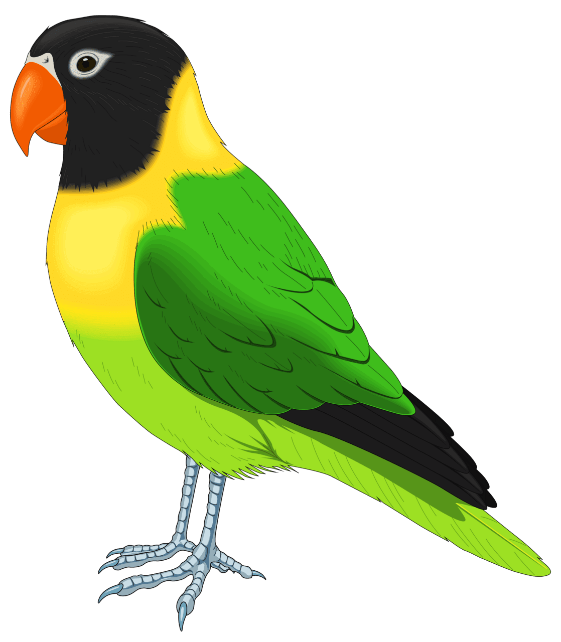 Green and yellow bird clipart image