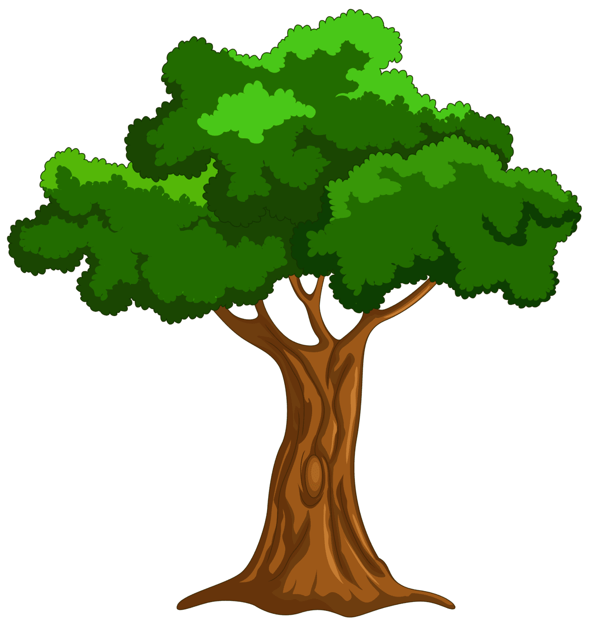 Cartoon tree clipart best image