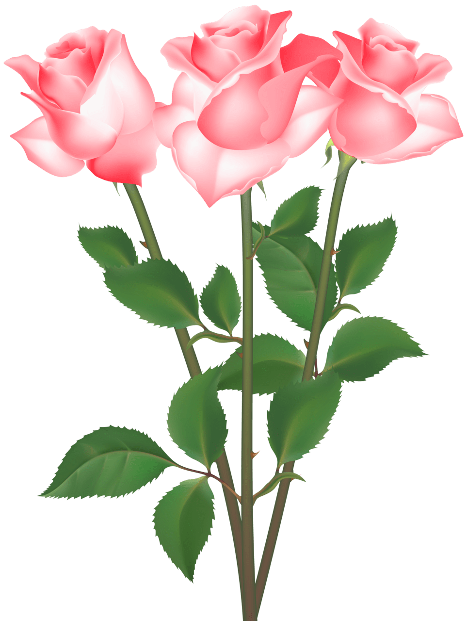 Rose clipart image 3