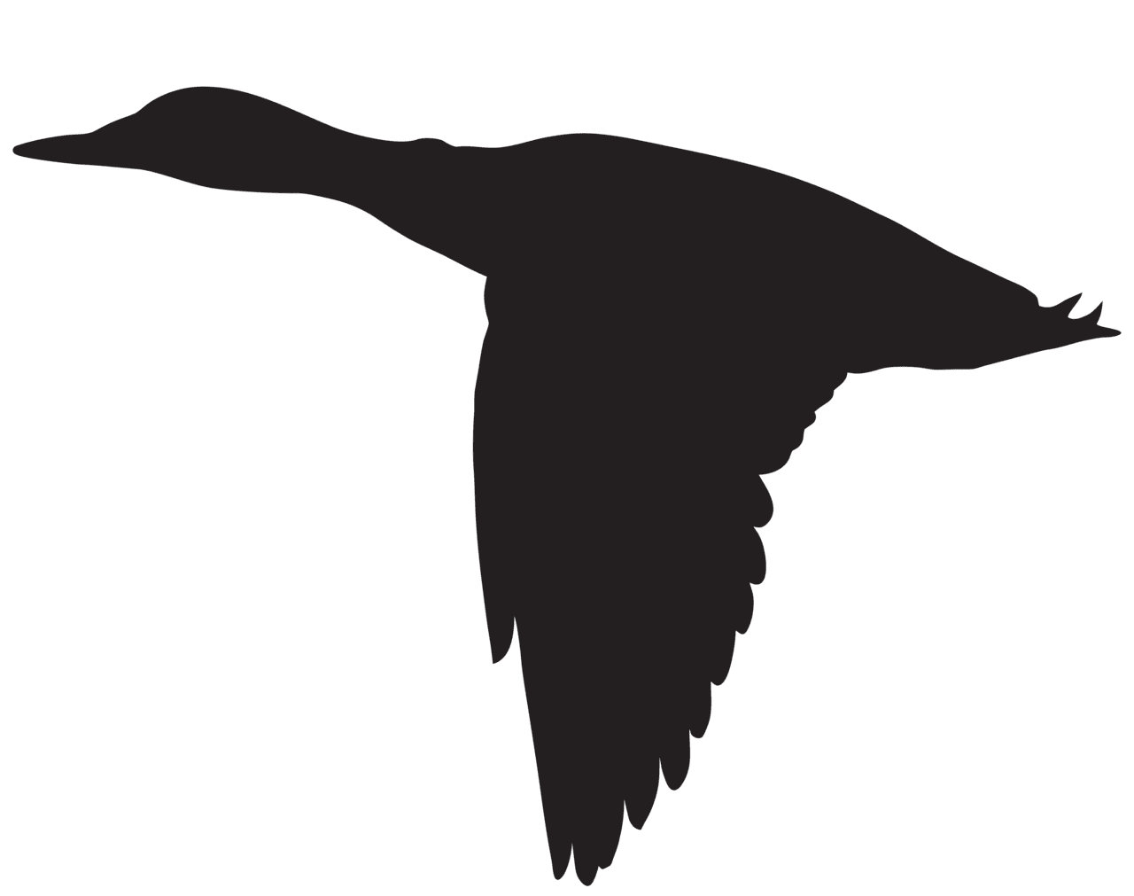 Duck flying silhouette clipart image