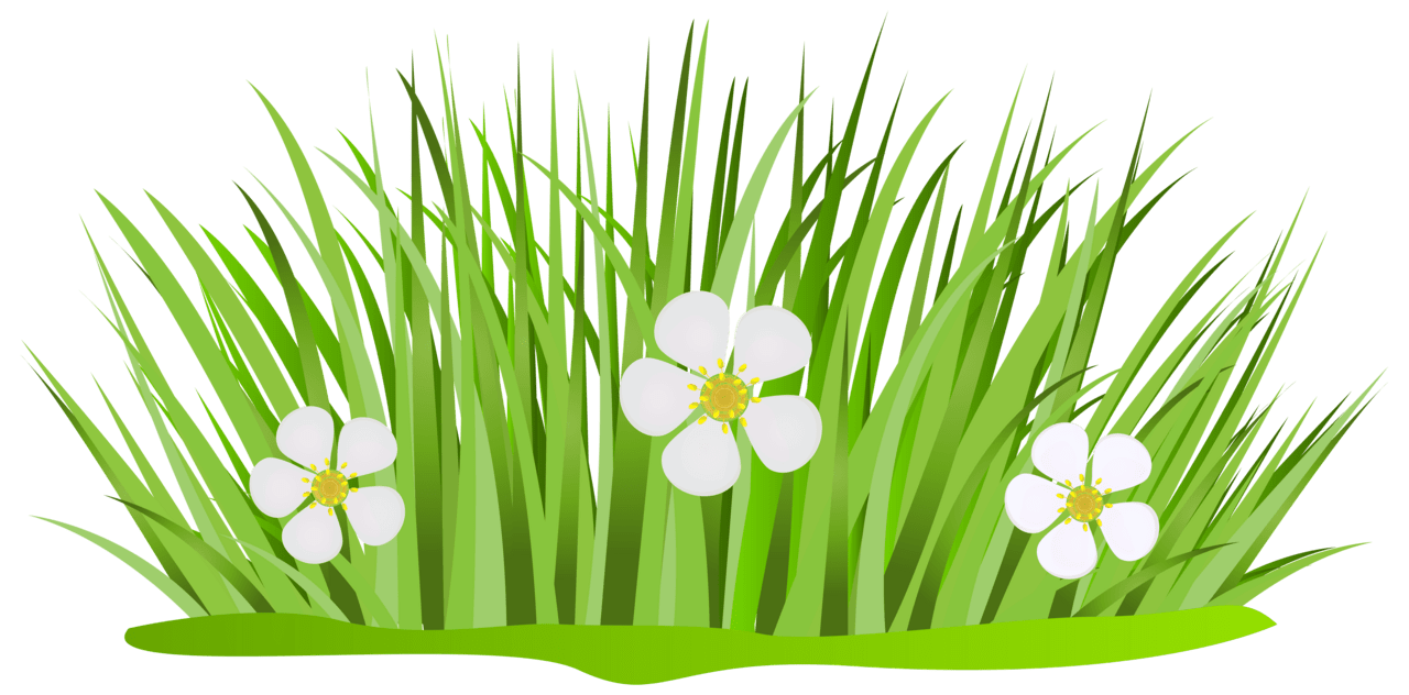 Clipart grass and flowers image