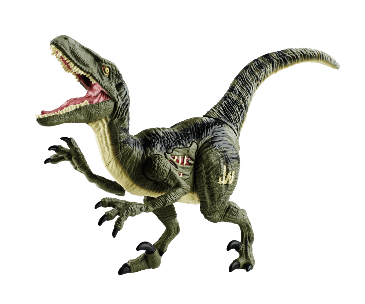 Dinosaur clipart image