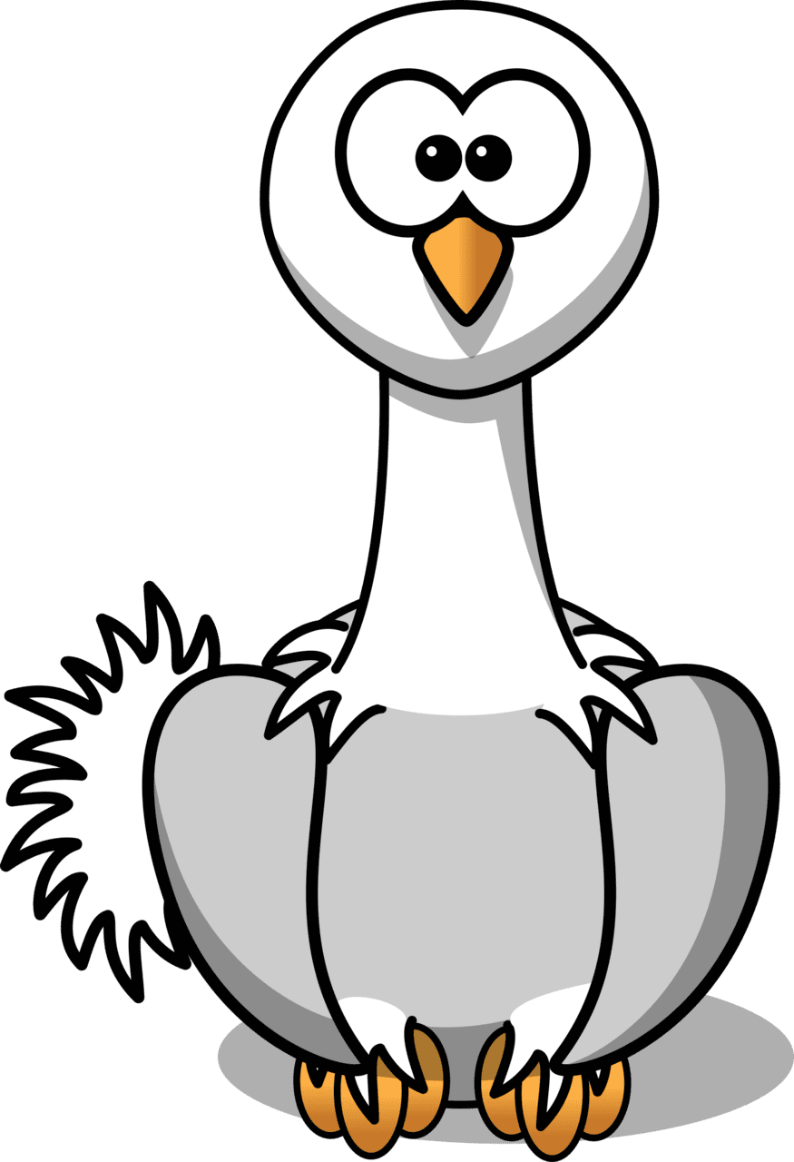 Turkey cartoon ostrich clipart free