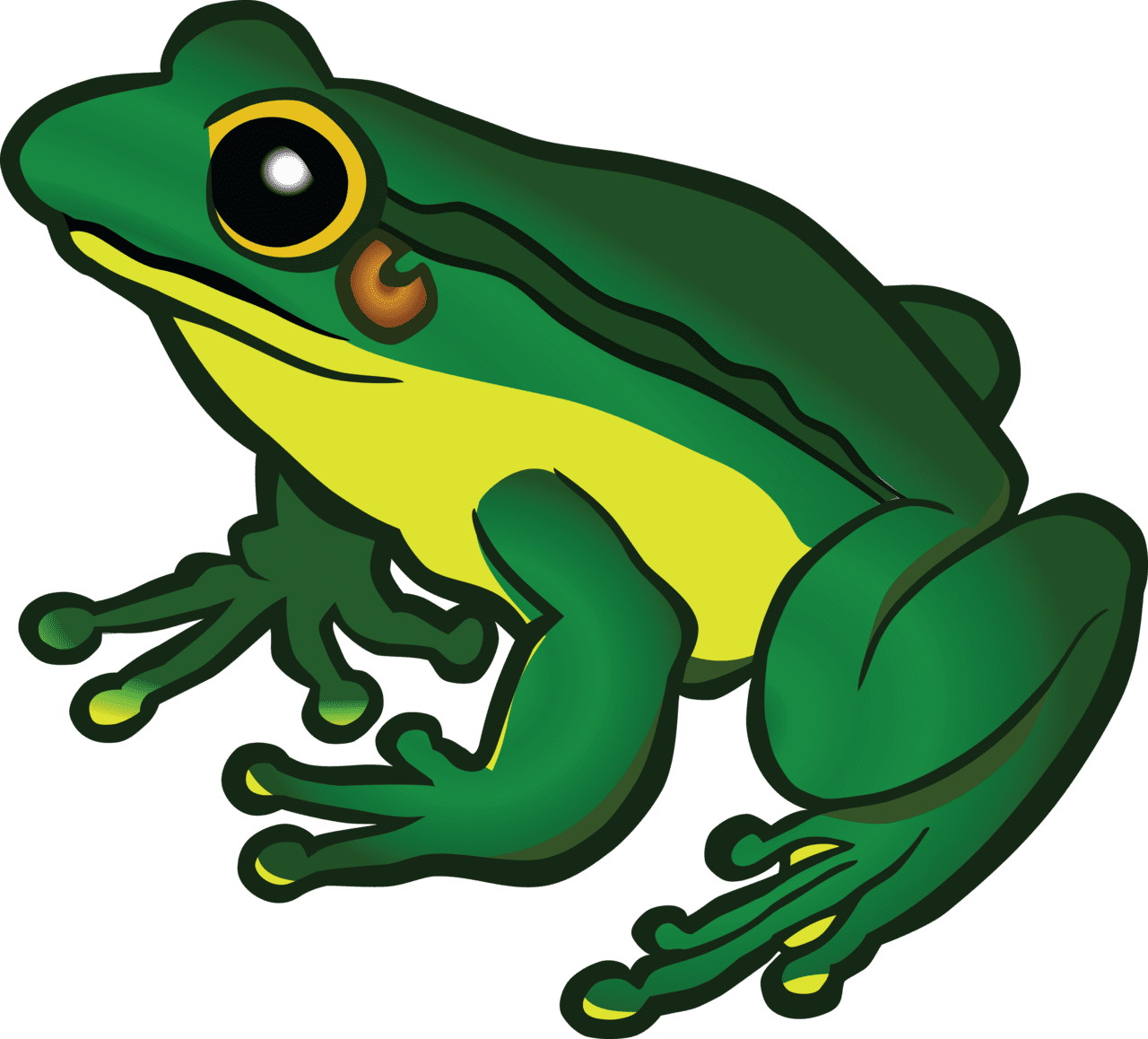 Clipart of frog photo