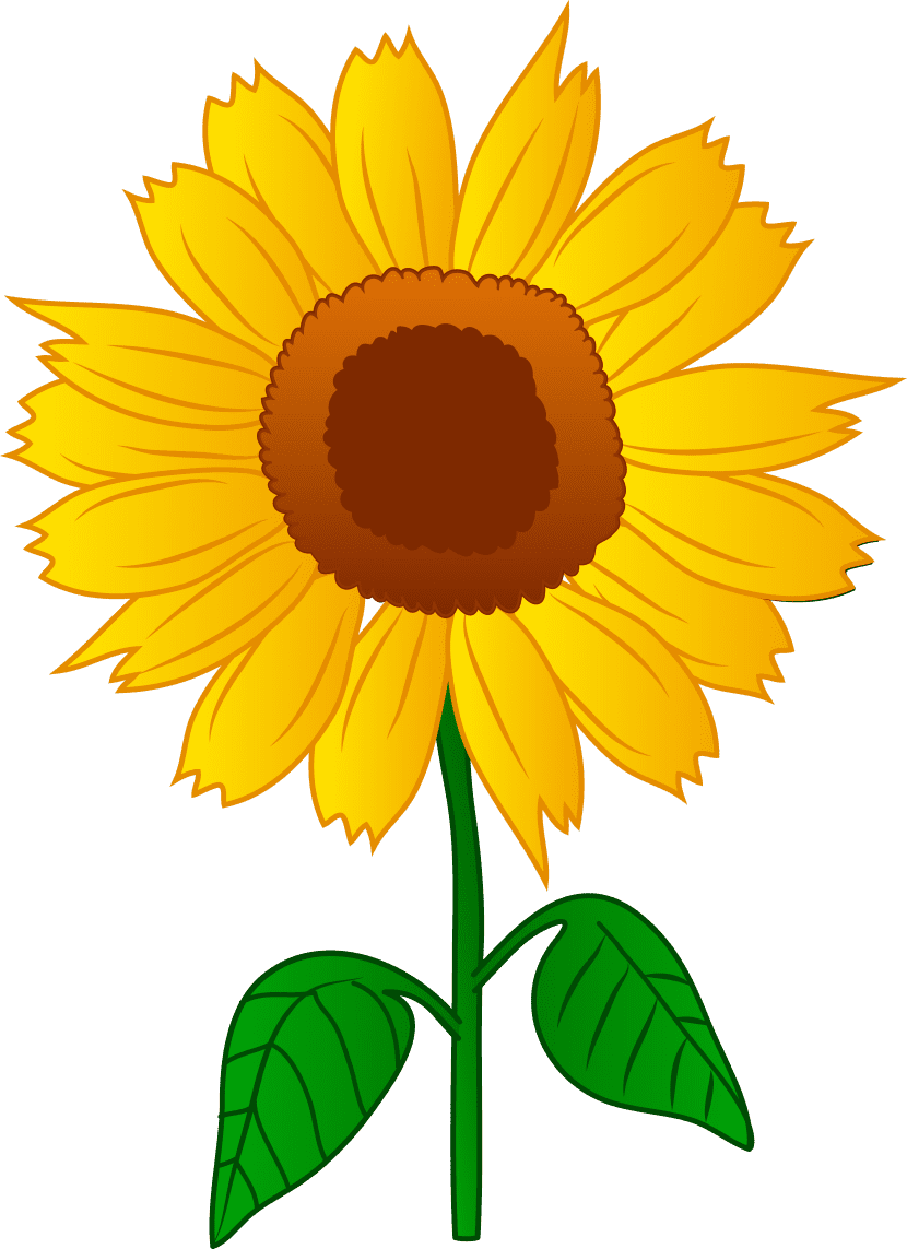 Easy sun flower to draw clipart photo