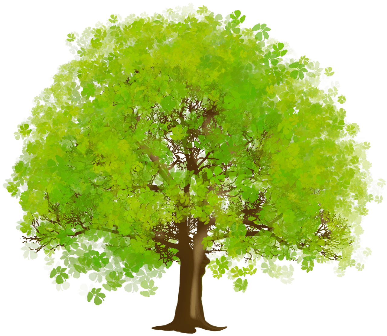 Large green tree clipart transparent