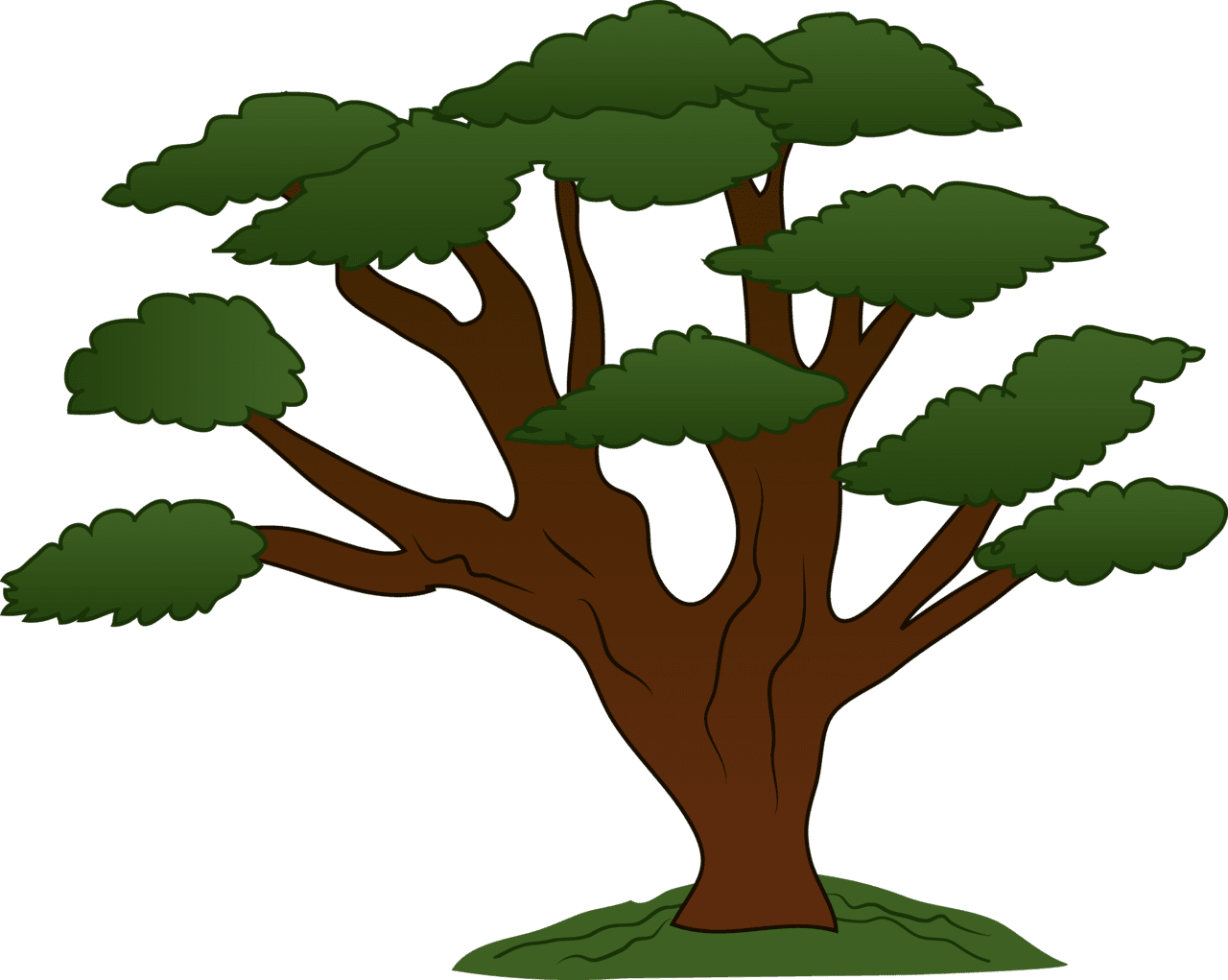 Tree cute clipart and coloring pages transparent