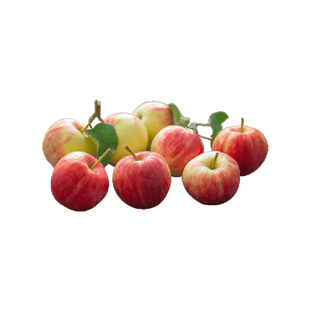 Apple images hd photo clipart 2