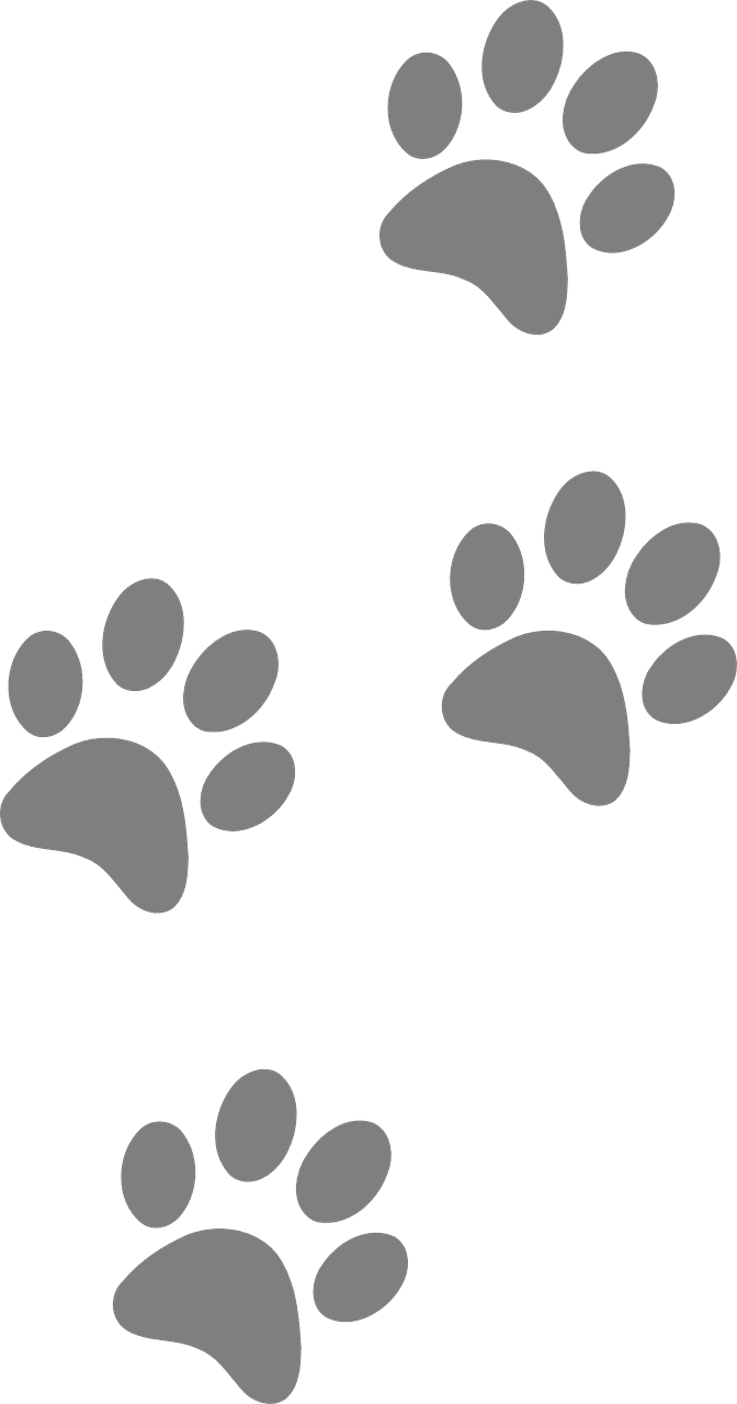 Footprints animal dog vector graphic clipart