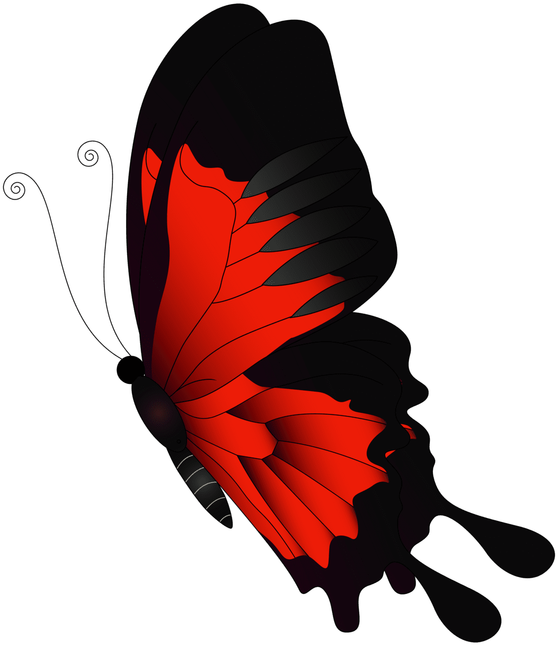 Red flying butterfly clipart background