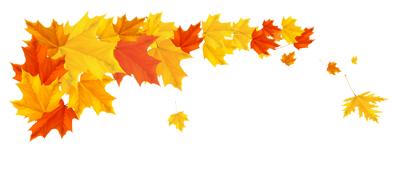 Orange fall leafs clipart picture