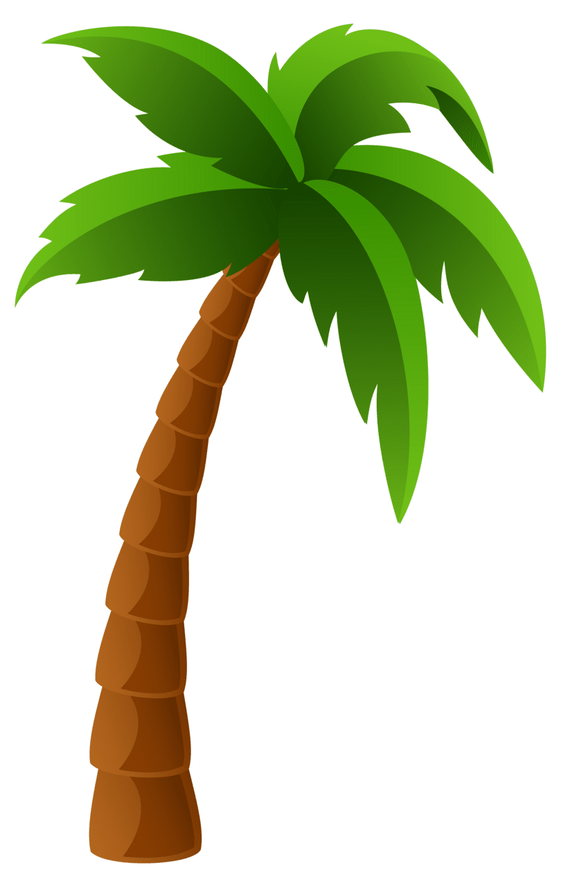 Palm tree image clipart