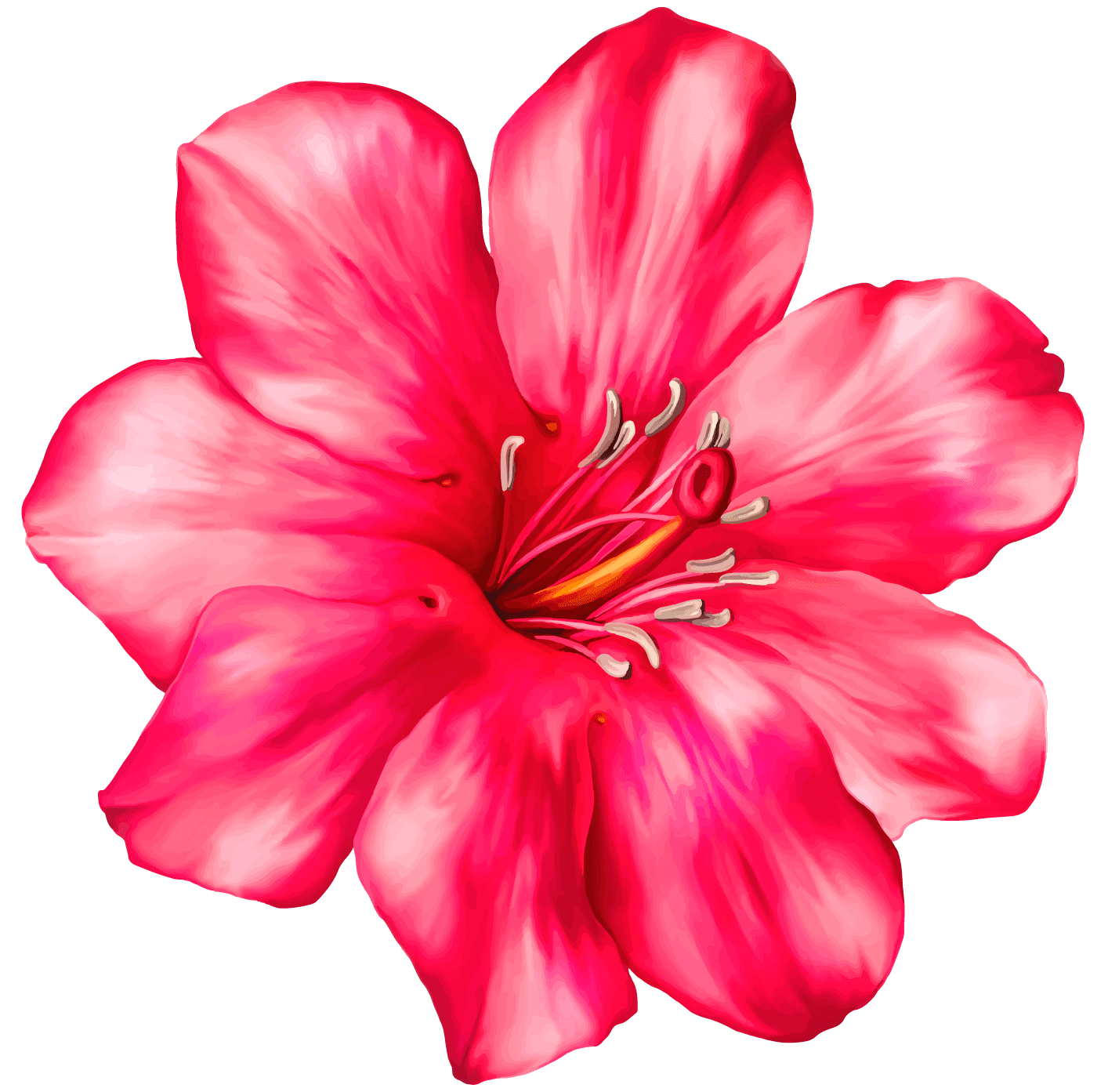 Exotic pink flower clipart picture