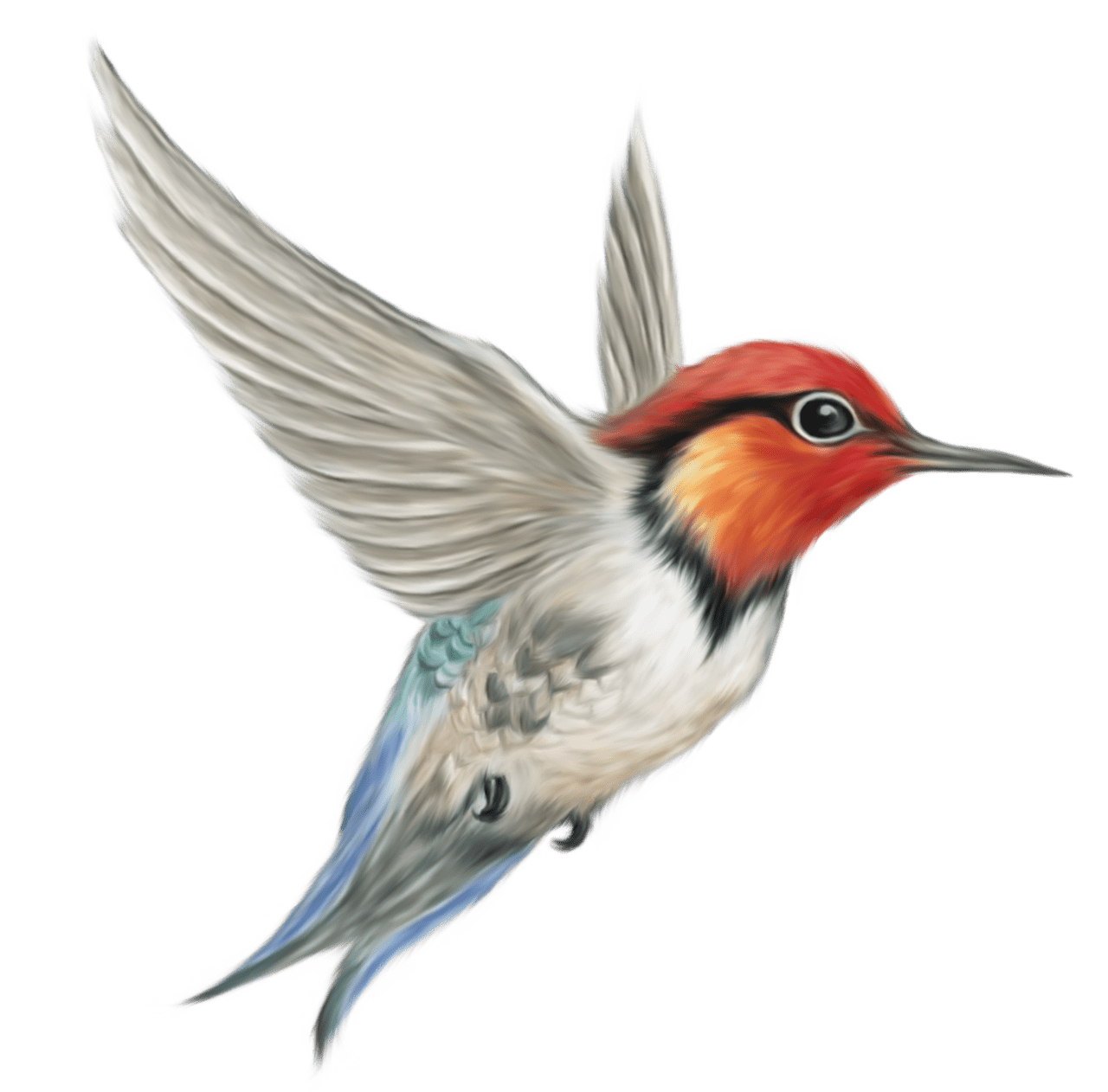 Bird tiere kunstprojekte gel clipart vector