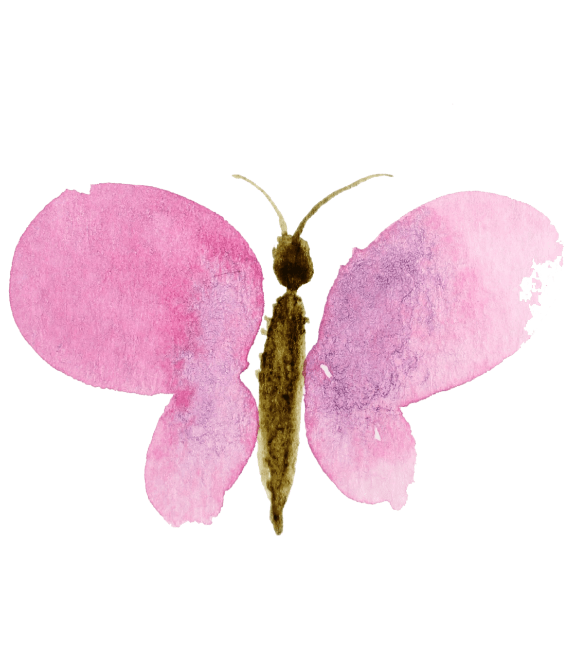 Craftberry bush watercolor clipart butterfly picture