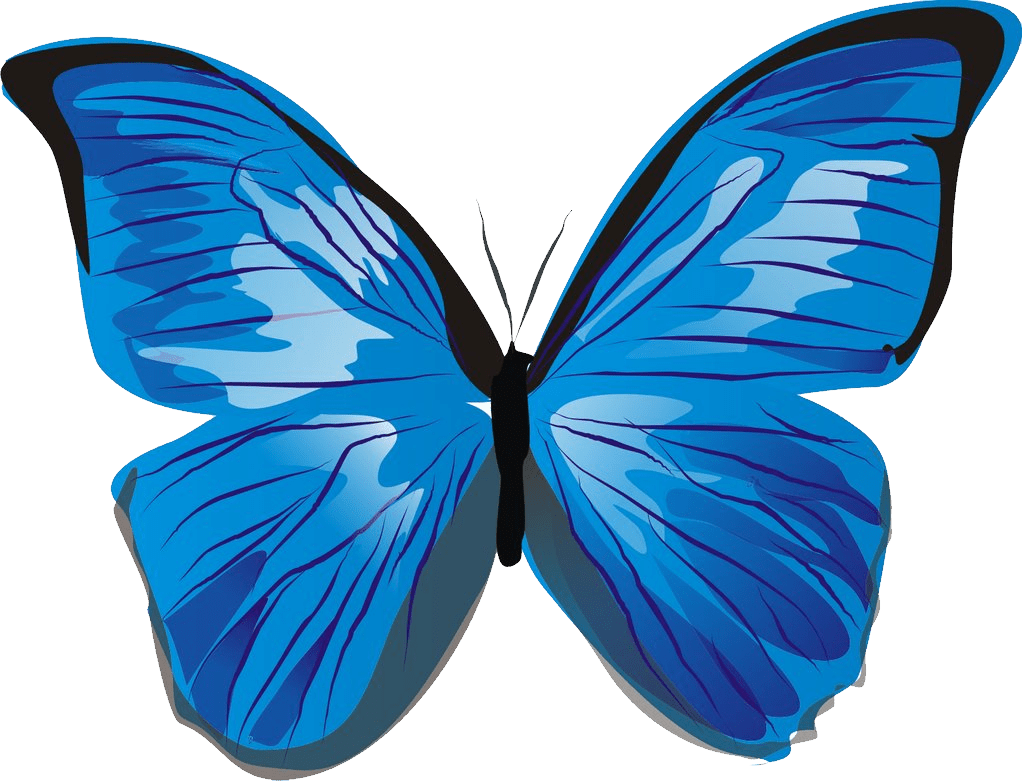 Butterfly clipart photo