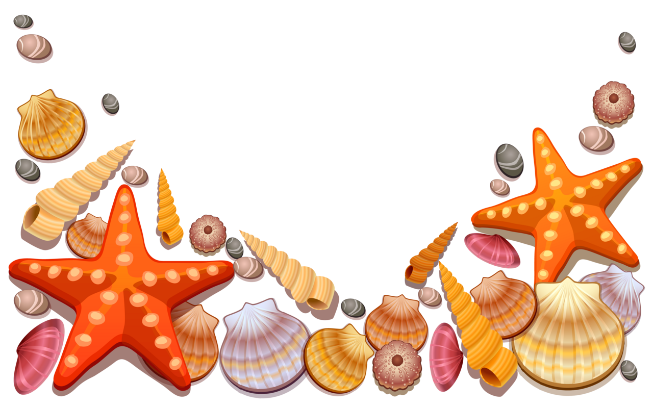 Beach sea shells decor vector clipart