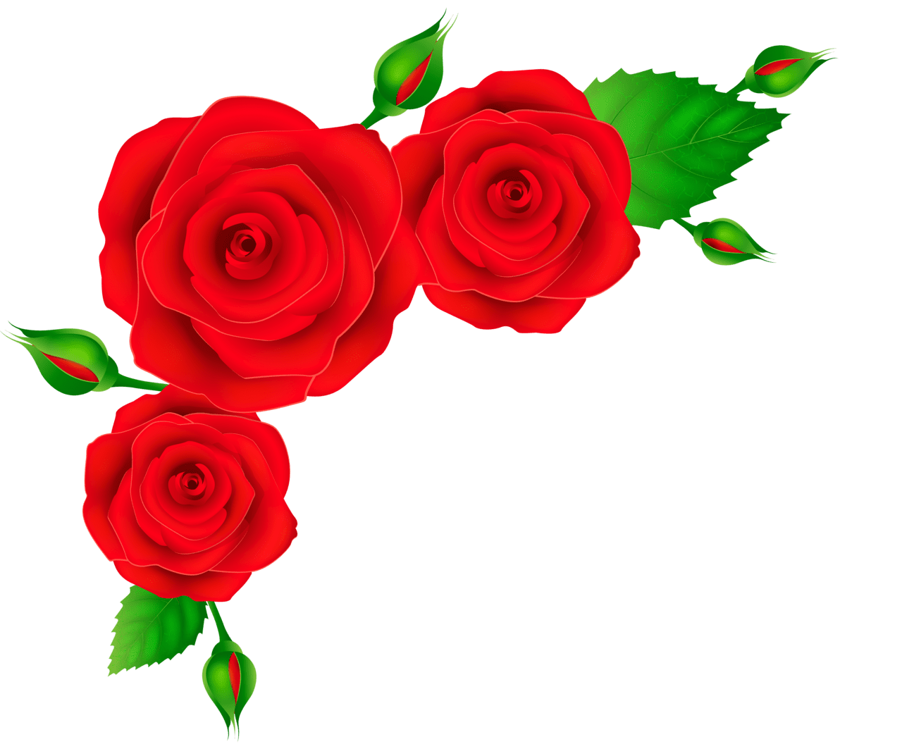 Red rose corner clipart image