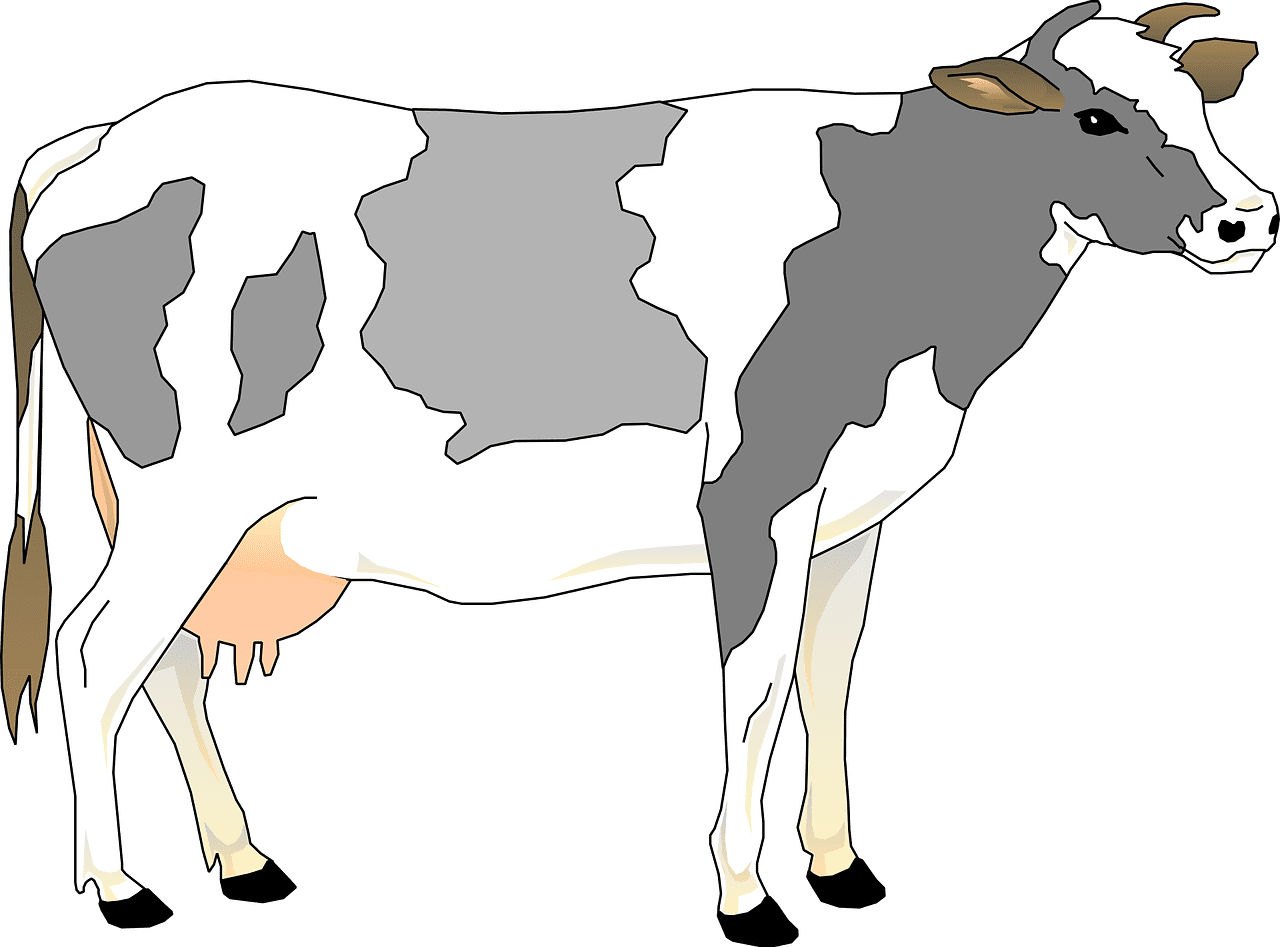 Cow nature gray vector graphic clipart