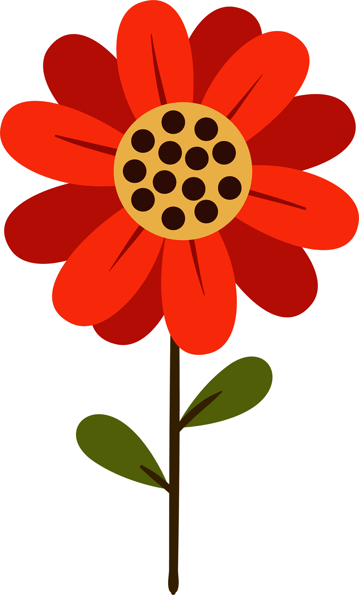 Spr flowers collection clipart transparent