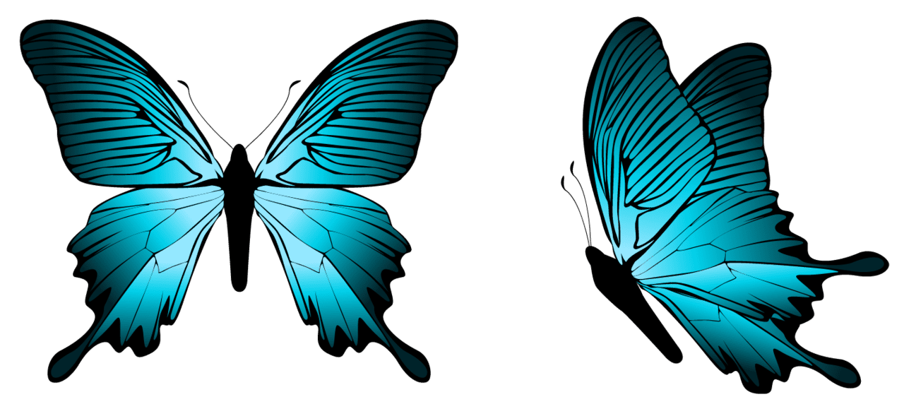 Blue butterfly clipart image