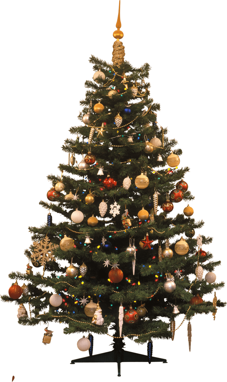 Christmas tree traditional clipart picture