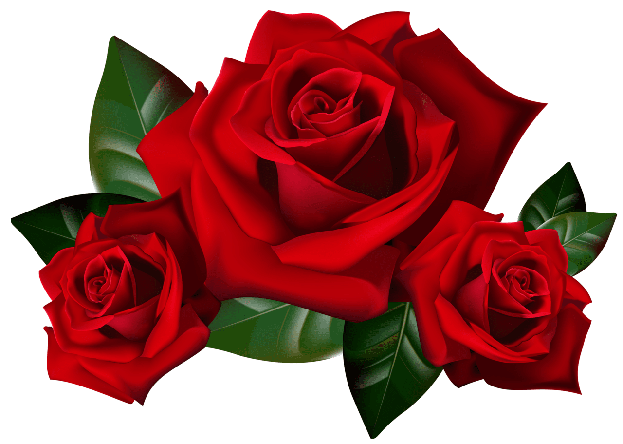 Rose clipart free