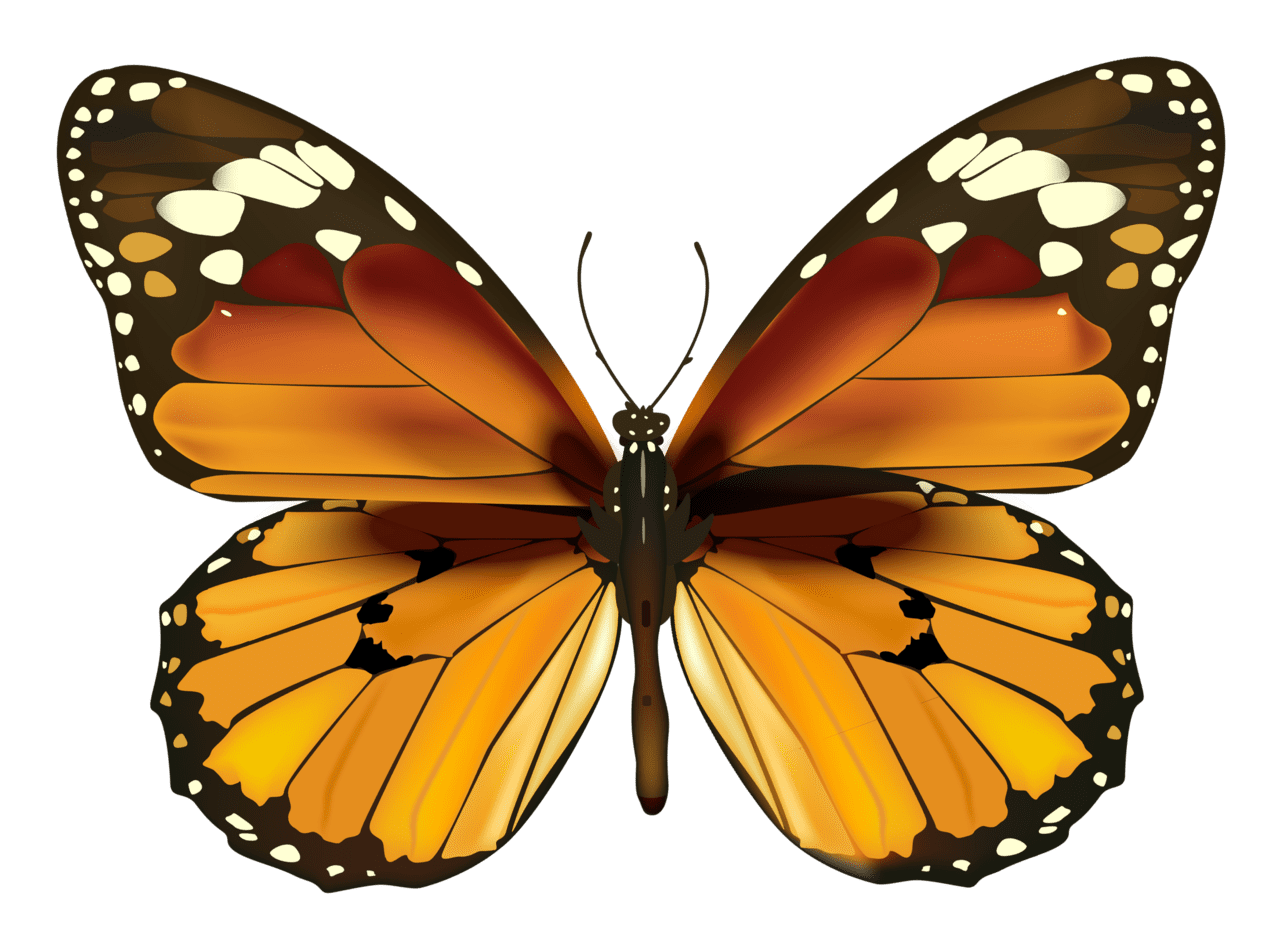 Yellow butterfly clipart logo