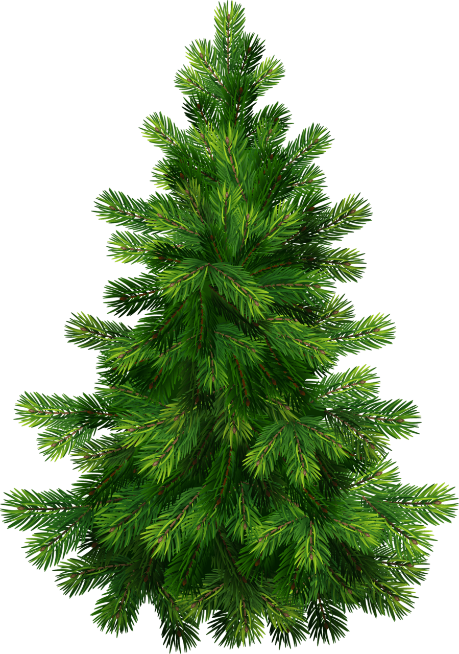 Christmas tree clipart picture 3