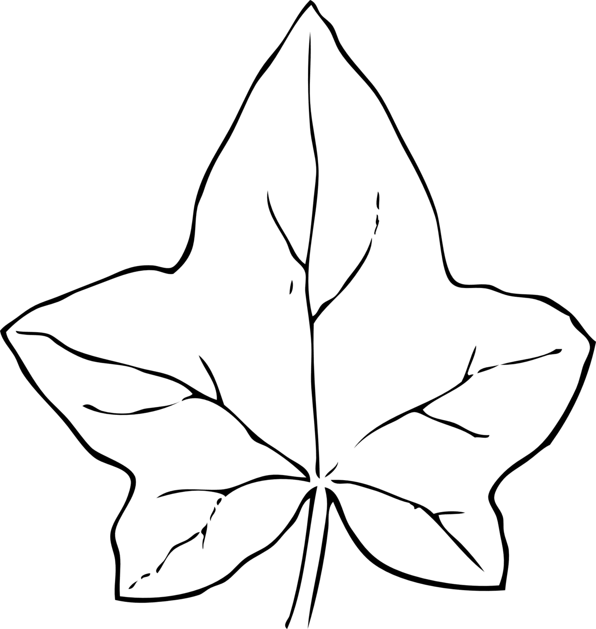 Leaf clipart images 2