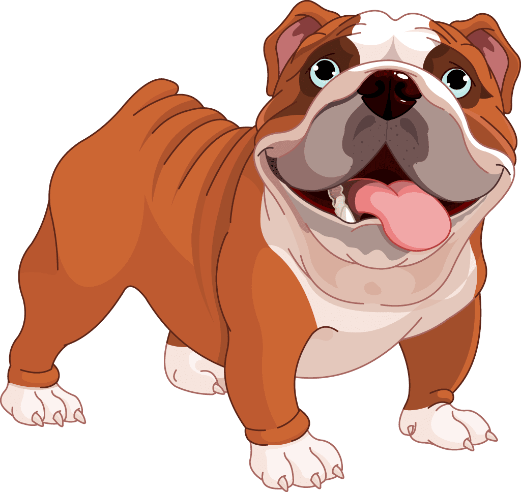 Cute bull dog clipart image