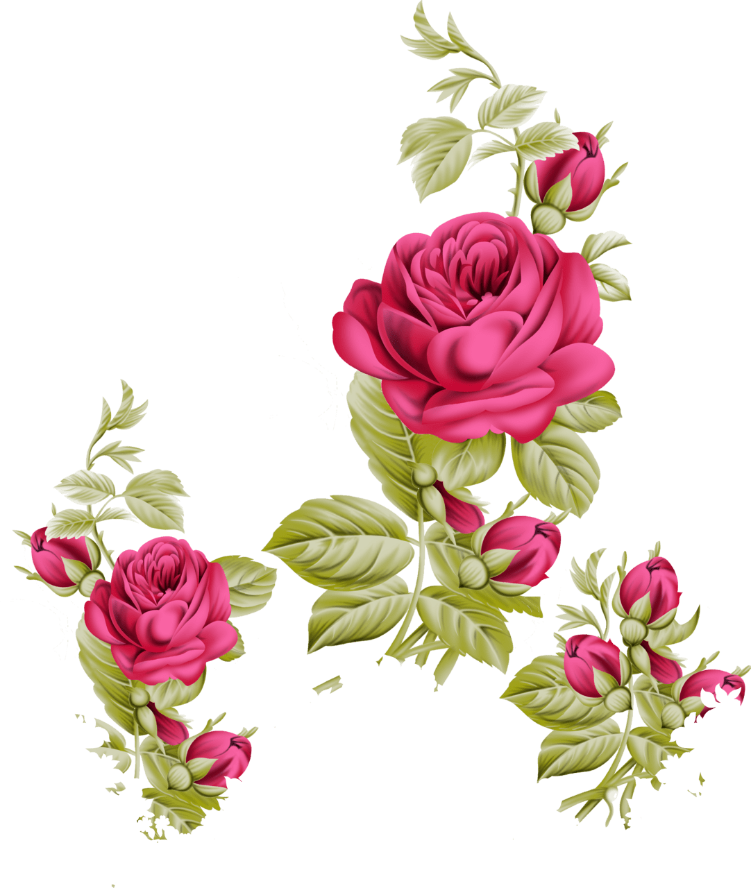 Rose pin page clipart background 2