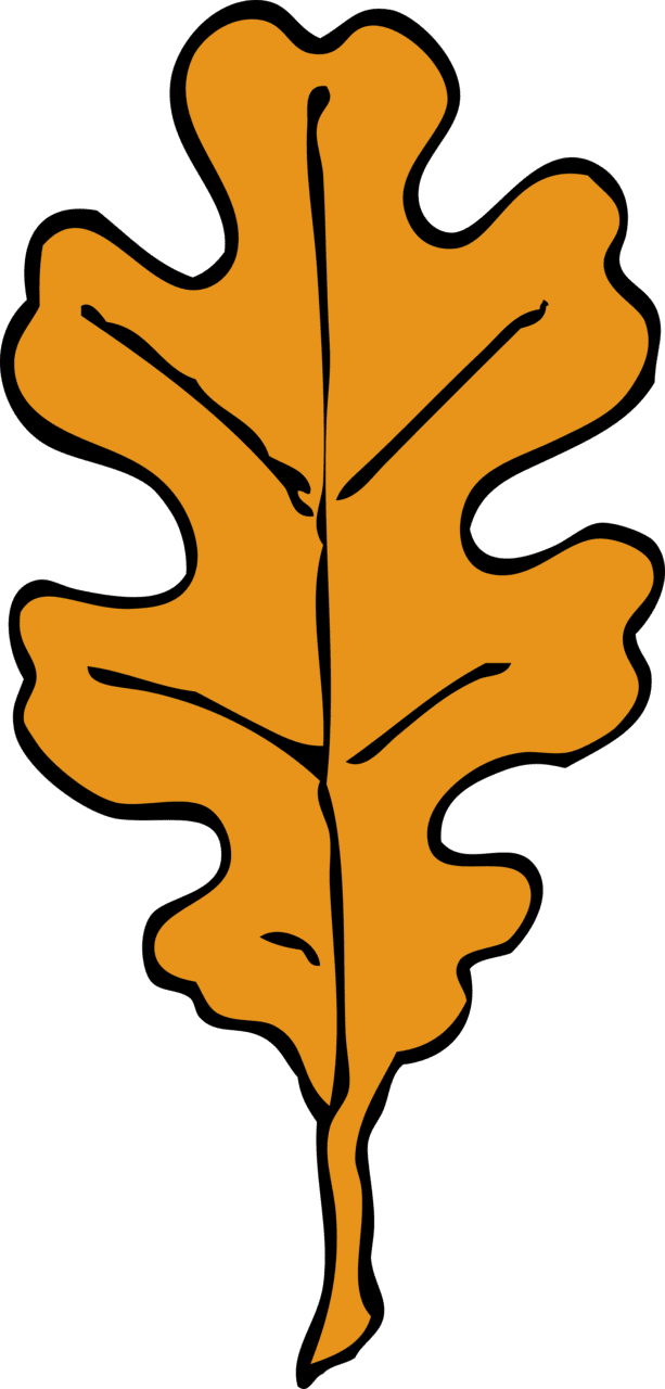 Leaf ecosia the search engine that plants trees clipart image