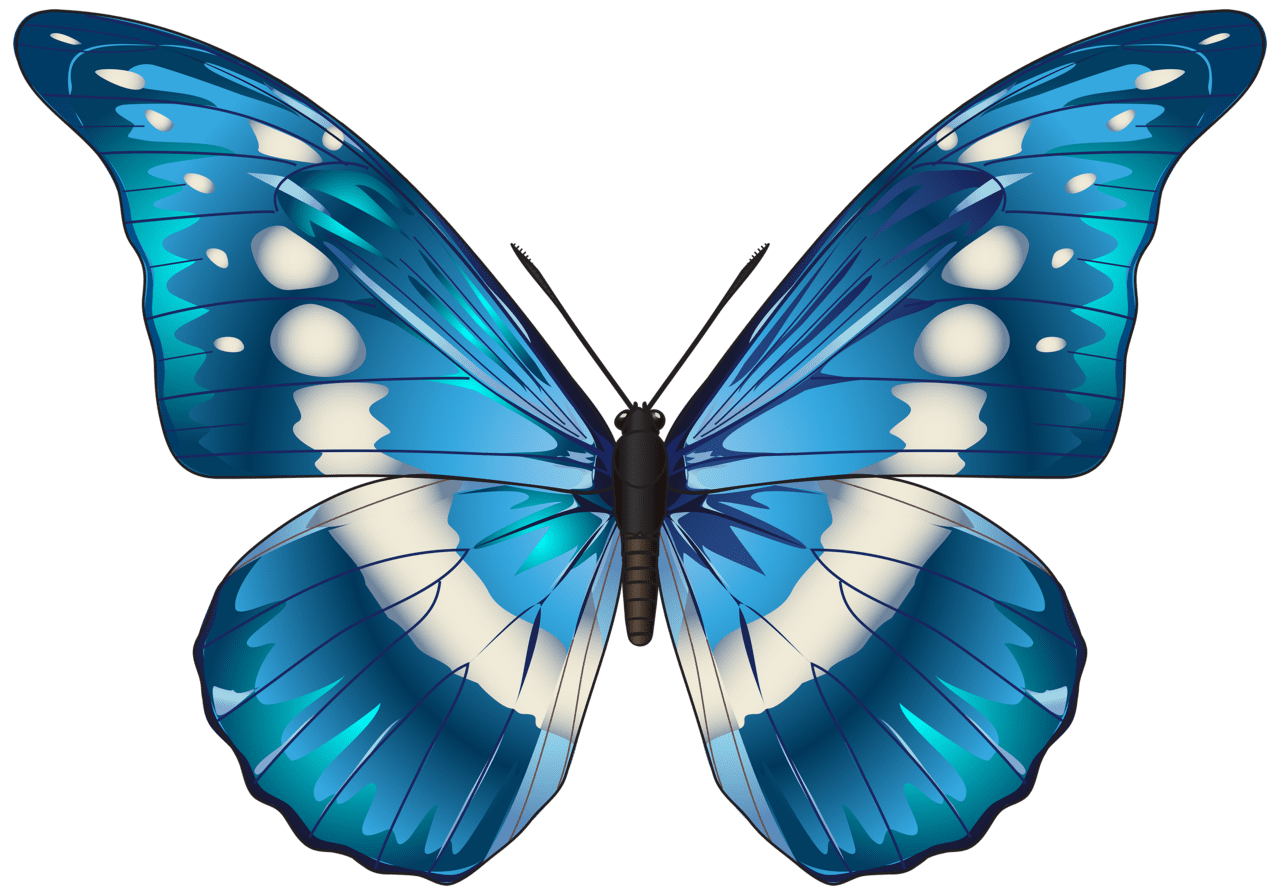 Butterfly blue clipart image 2