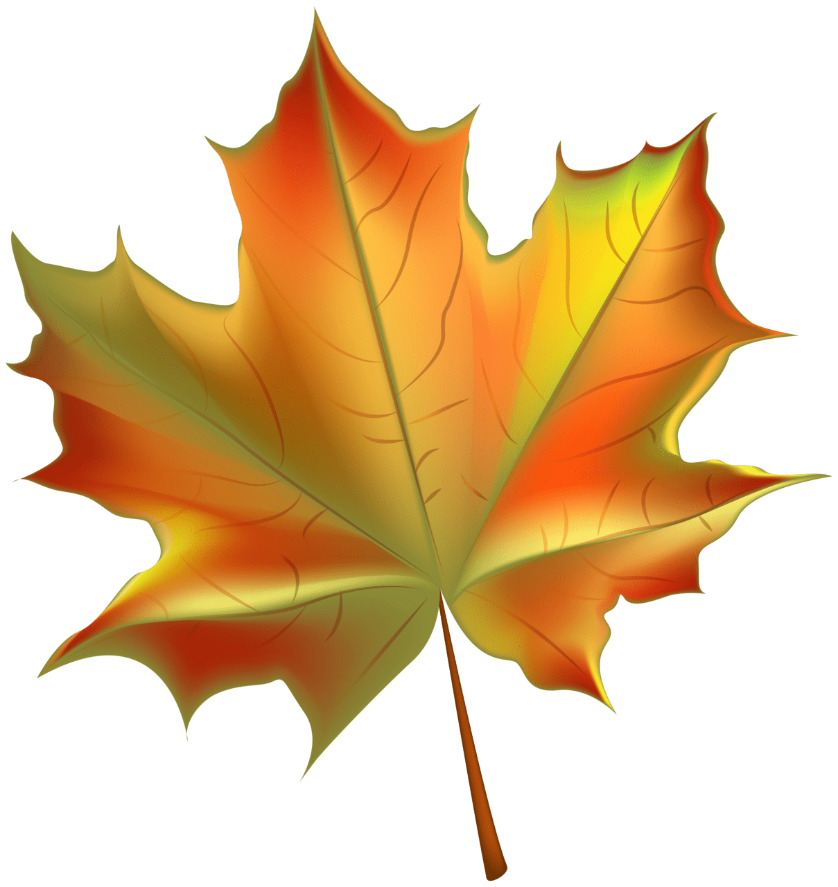 Fall leaves clipart images cliparts library