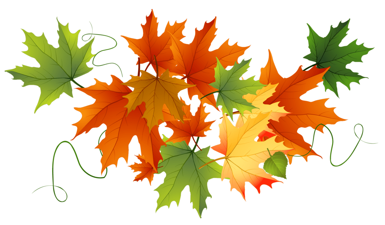 Fall autumn leaves clipart clip art