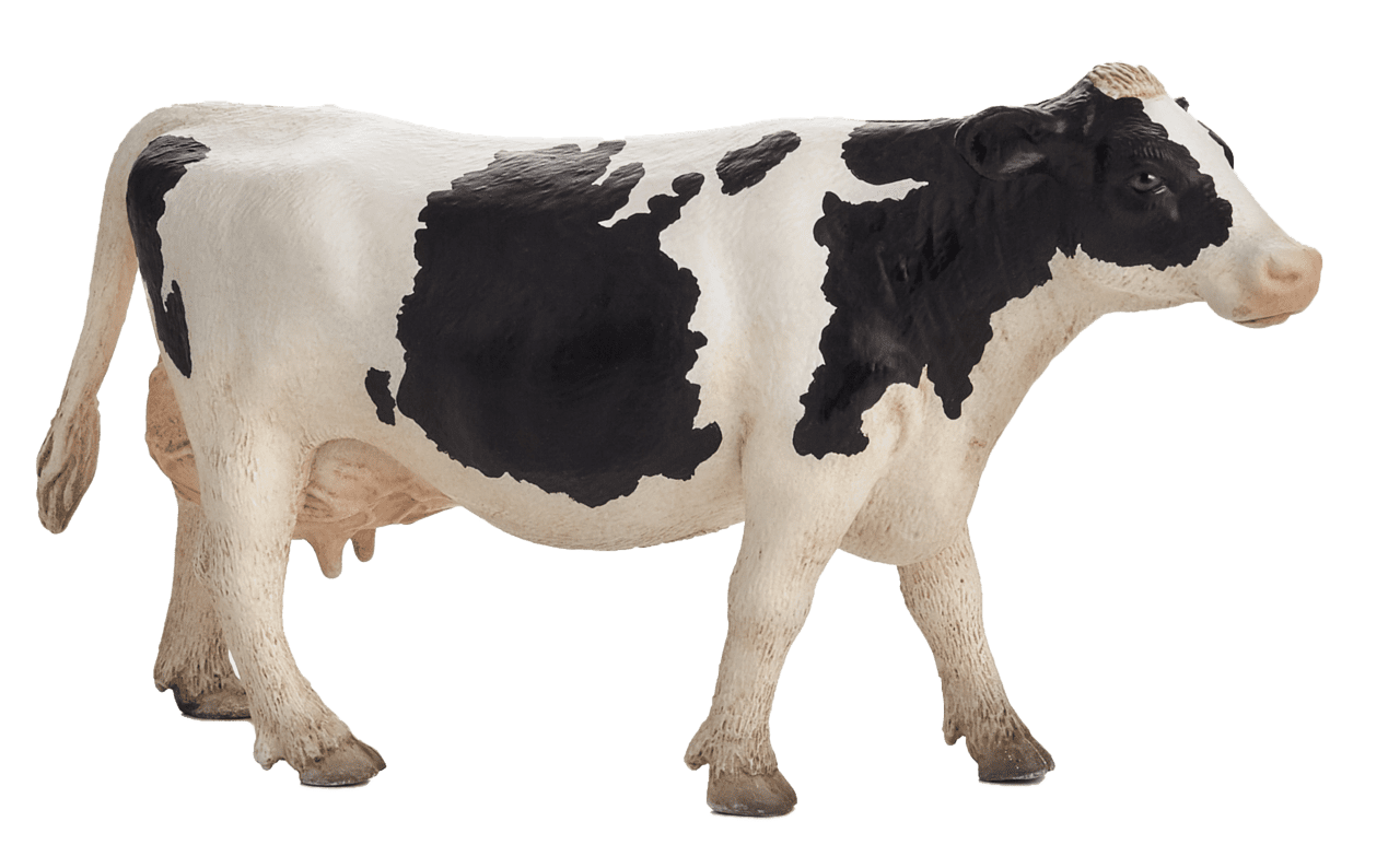 Black and white milk cow hd large images transparen clipart