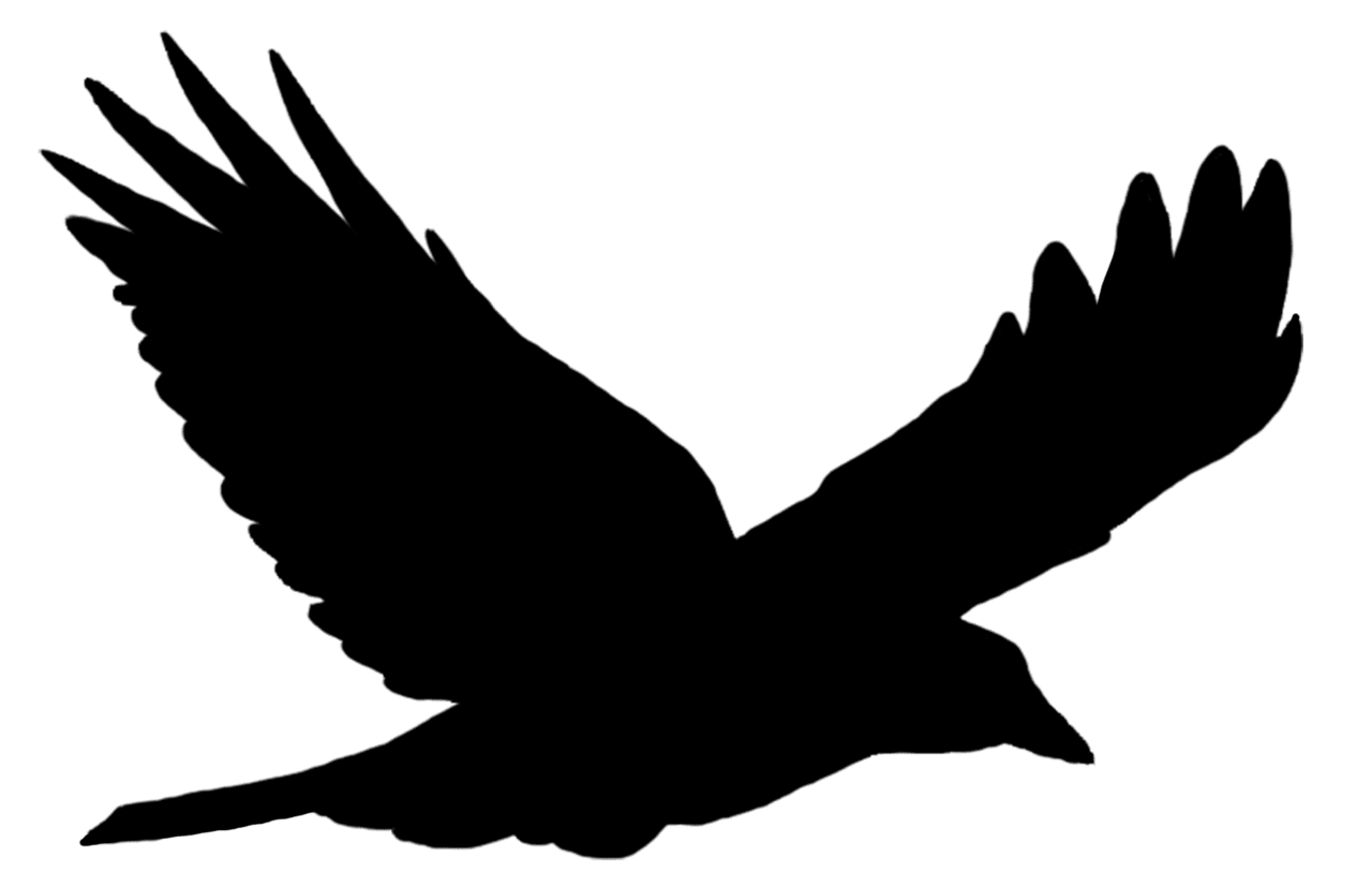 Bird silhouettes clipart image