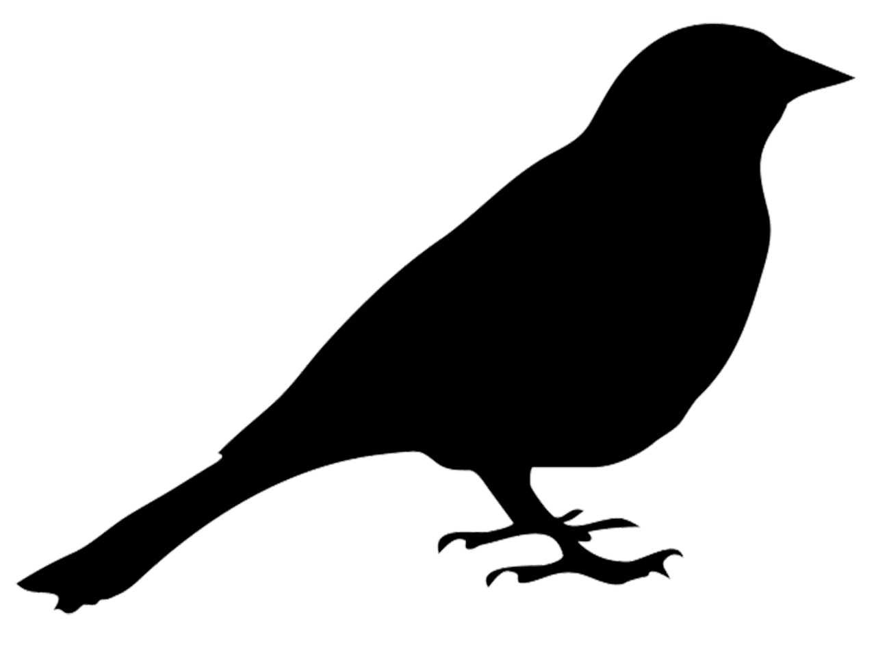 Bird silhouettes clipart vector