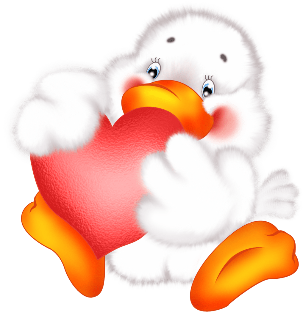 Cute duck with heart cartoon clipart transparent