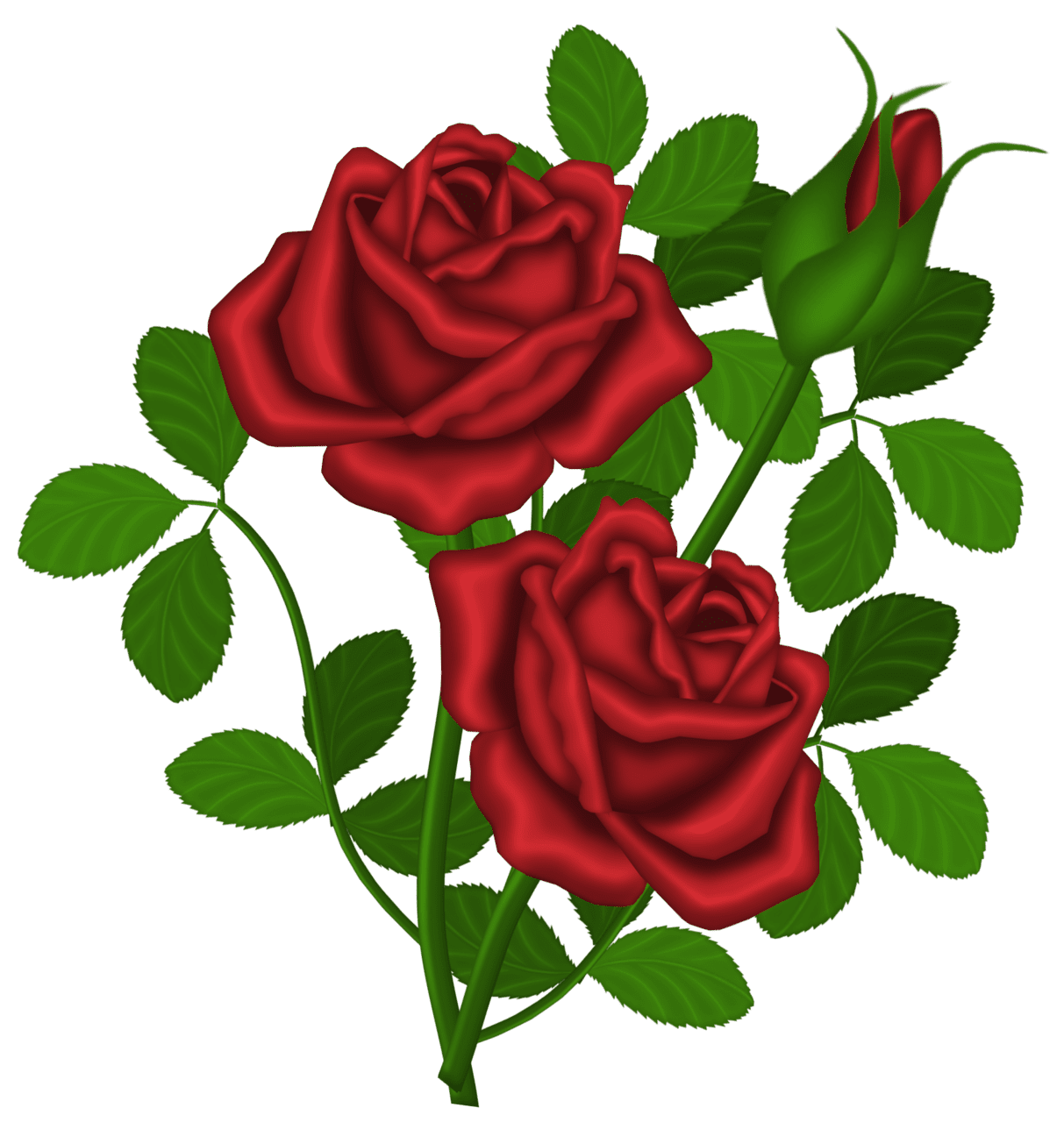 Red rose picture clipart