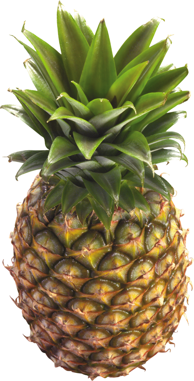 Fruit pinapple clipart picture