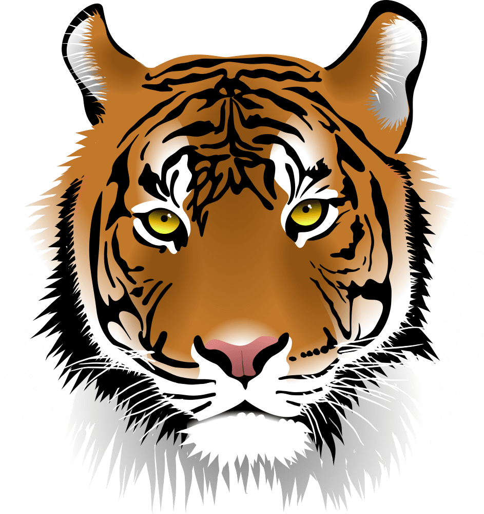 Tiger dragon hd clipart background