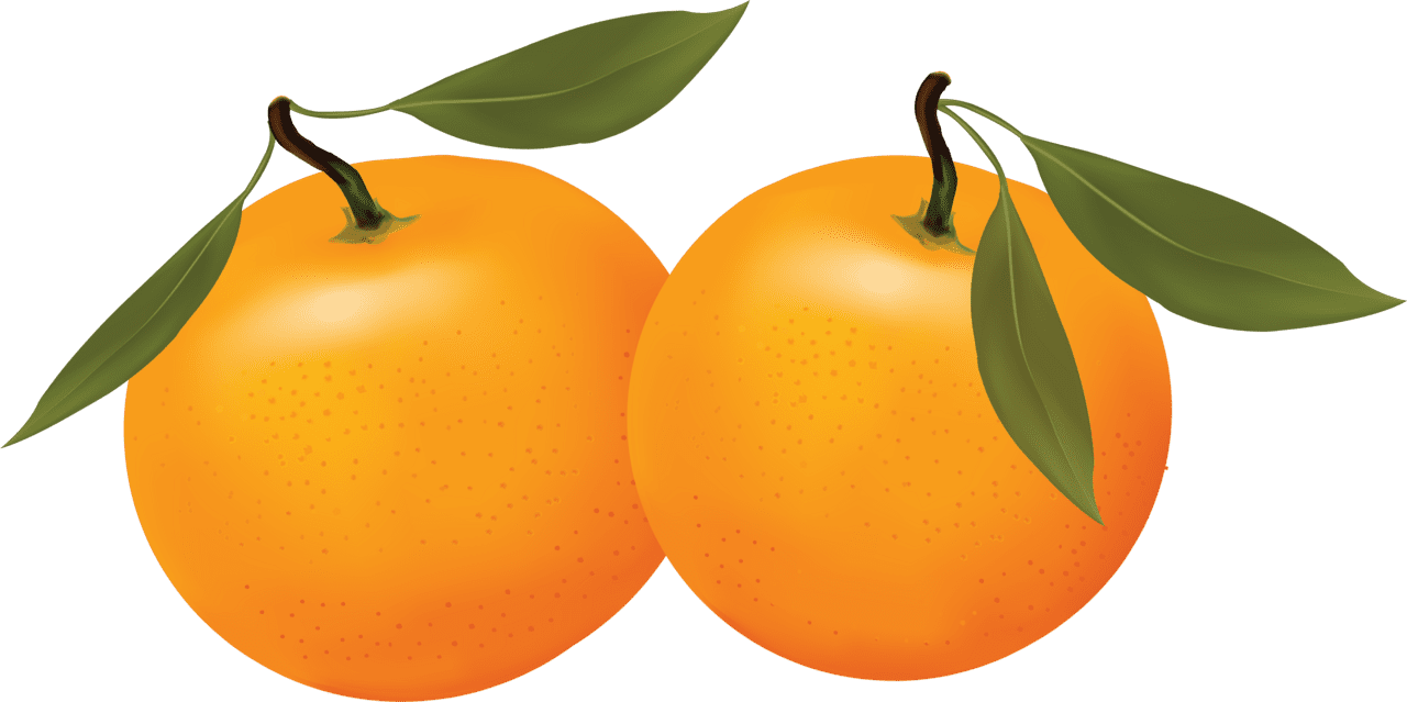 Fruit orange oranges clipart free