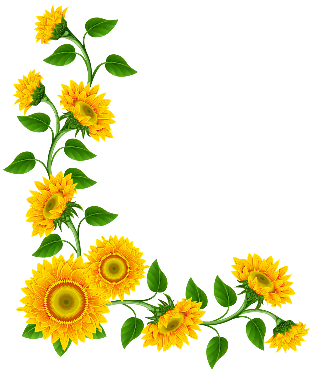 Daisy sunflower border decoration clipart image