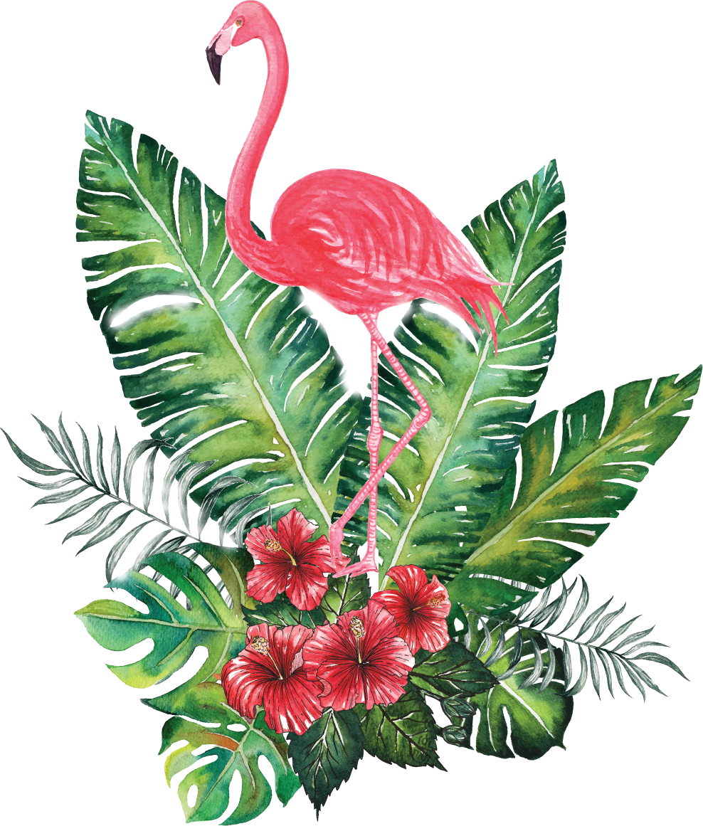 Imagenes de plantas fondo busc con google flamingo painting paint by number clipart