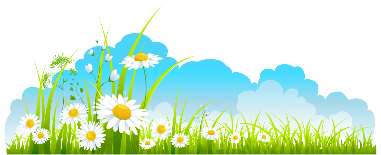 Spring decor sky grass and camomile clipart best picture