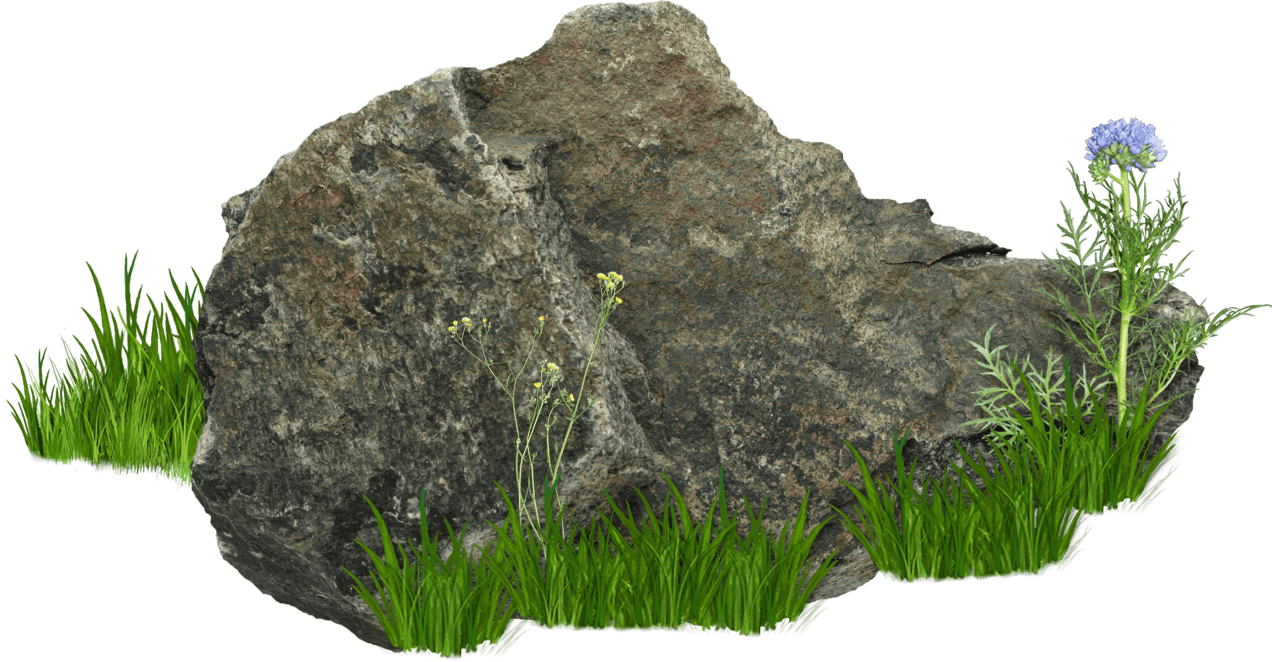 Grass stones and rocks image for clipart